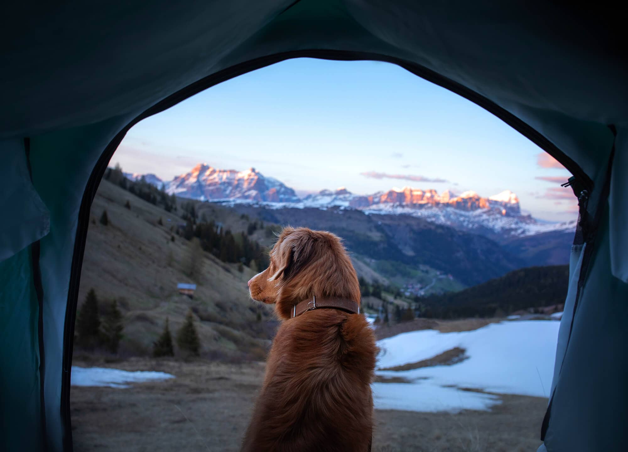 Cold camping with dog in a beautiful snow capped setting