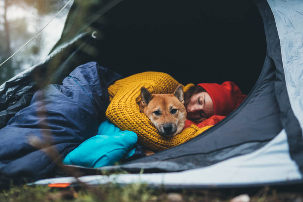How To Keep a Dog Warm While Camping