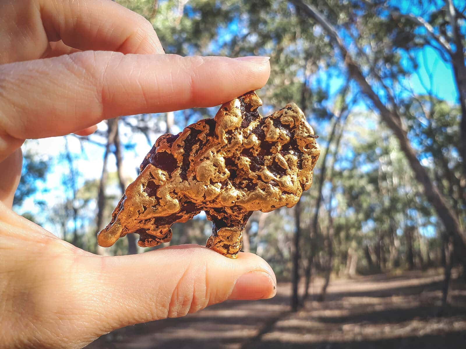 Holding up discovered gold from australian backyard