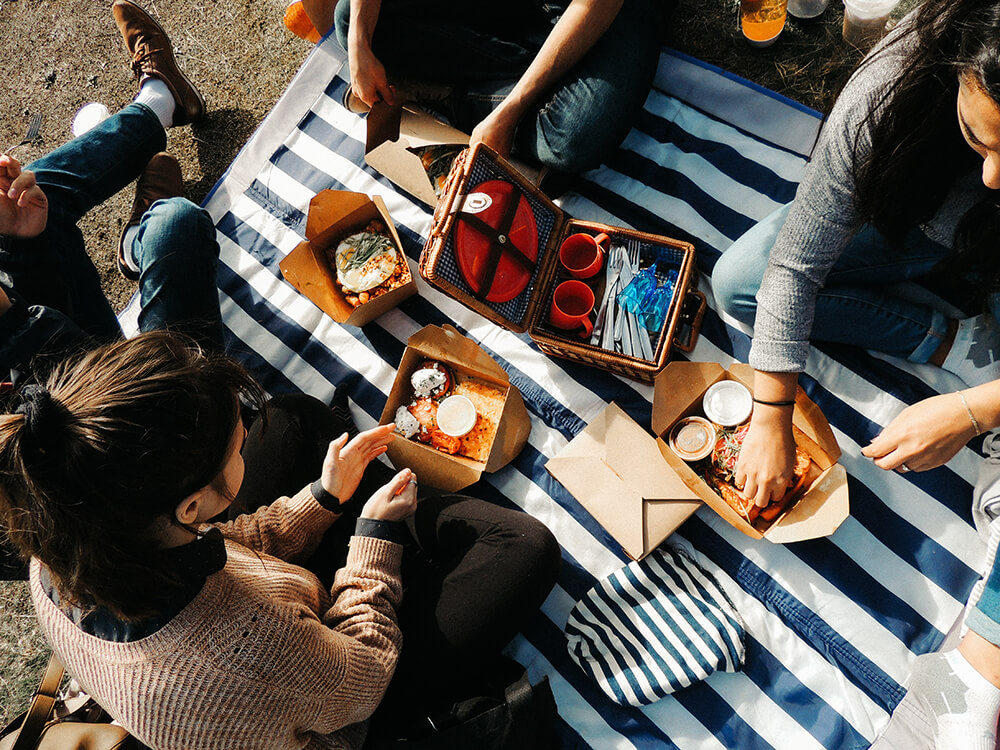 Picnic food and how to stop ands from ruining the fun