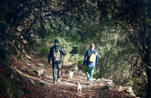 Two-men-Best-Dog-Breeds-For-Hiking-Off-Leash-with-Jack-Russell